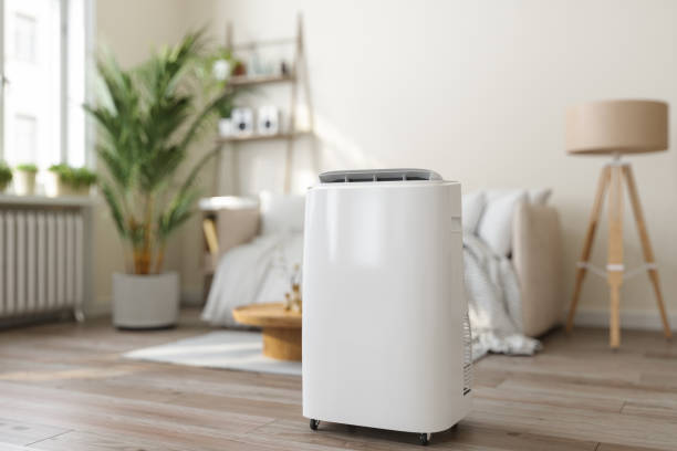 Best HVAC Air Duct Cleaning  in Hoschton, GA